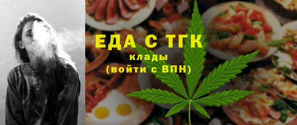 индика Абаза