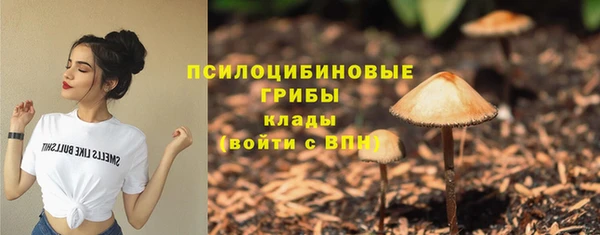 тгк Абдулино
