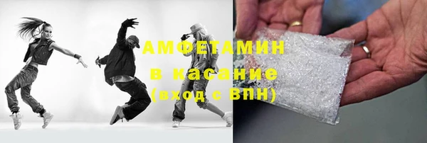 индика Абаза