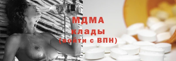 индика Абаза