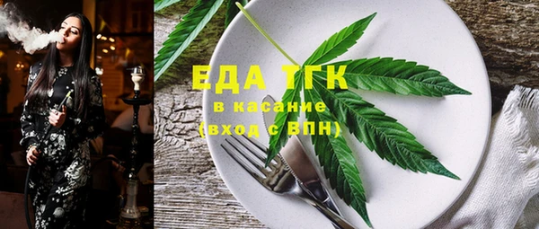 индика Абаза