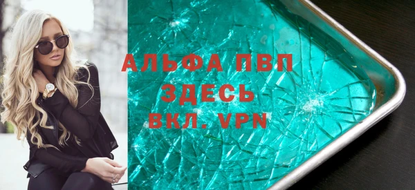 индика Абаза