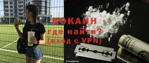 индика Абаза