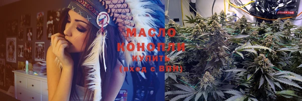индика Абаза