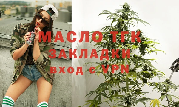 индика Абаза