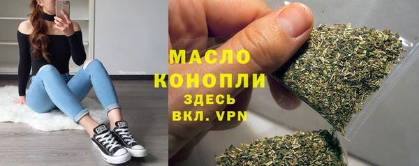 индика Абаза